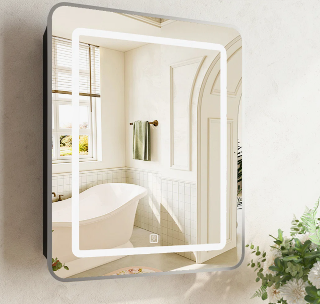 24 inch LED Mirrored Medicine Cabinet, Wayfair.