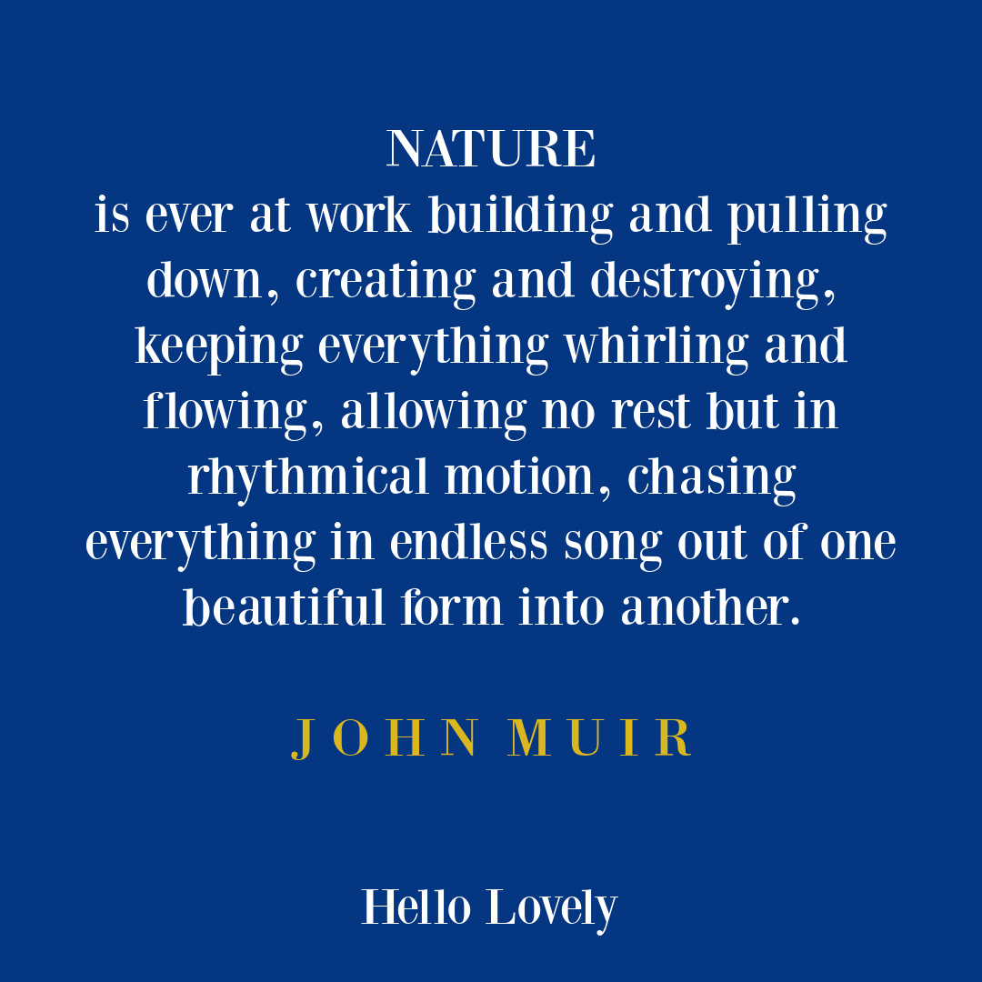 Nature quote with wisdom fromy John Muir on Hello Lovely Studio. #wisdomquotes #naturequotes