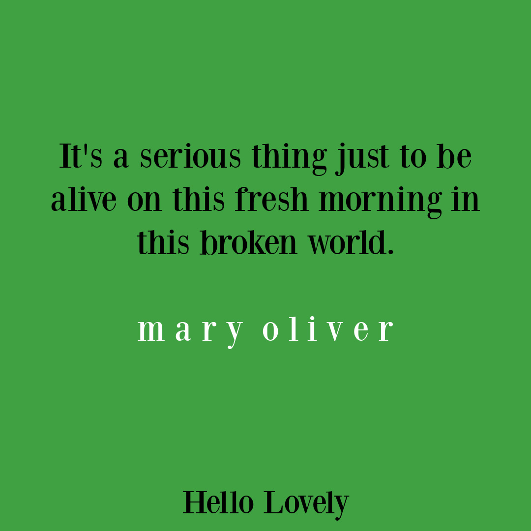 Mary Oliver poetry quote about gratitude and imperfection on Hello Lovely Studio.
