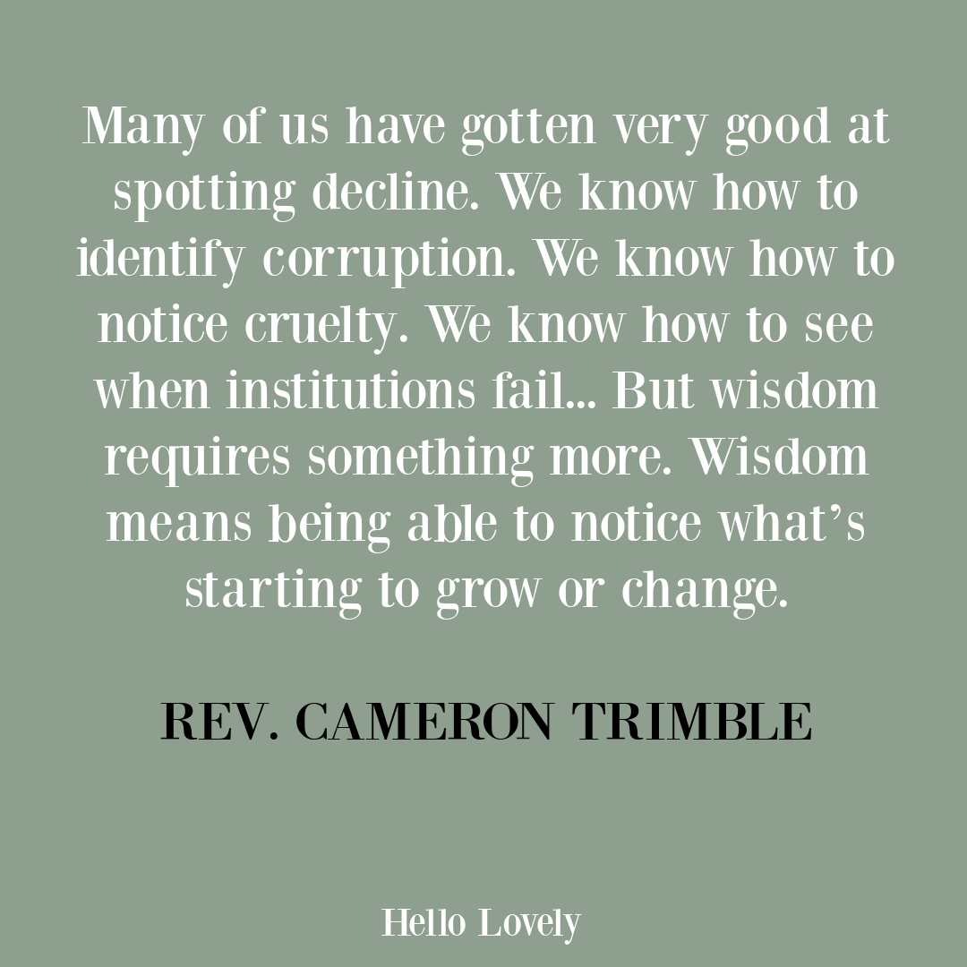 Rev Cameron Trimble wisdom quote on Hello Lovely Studio. #spirituality #spiritualjourney