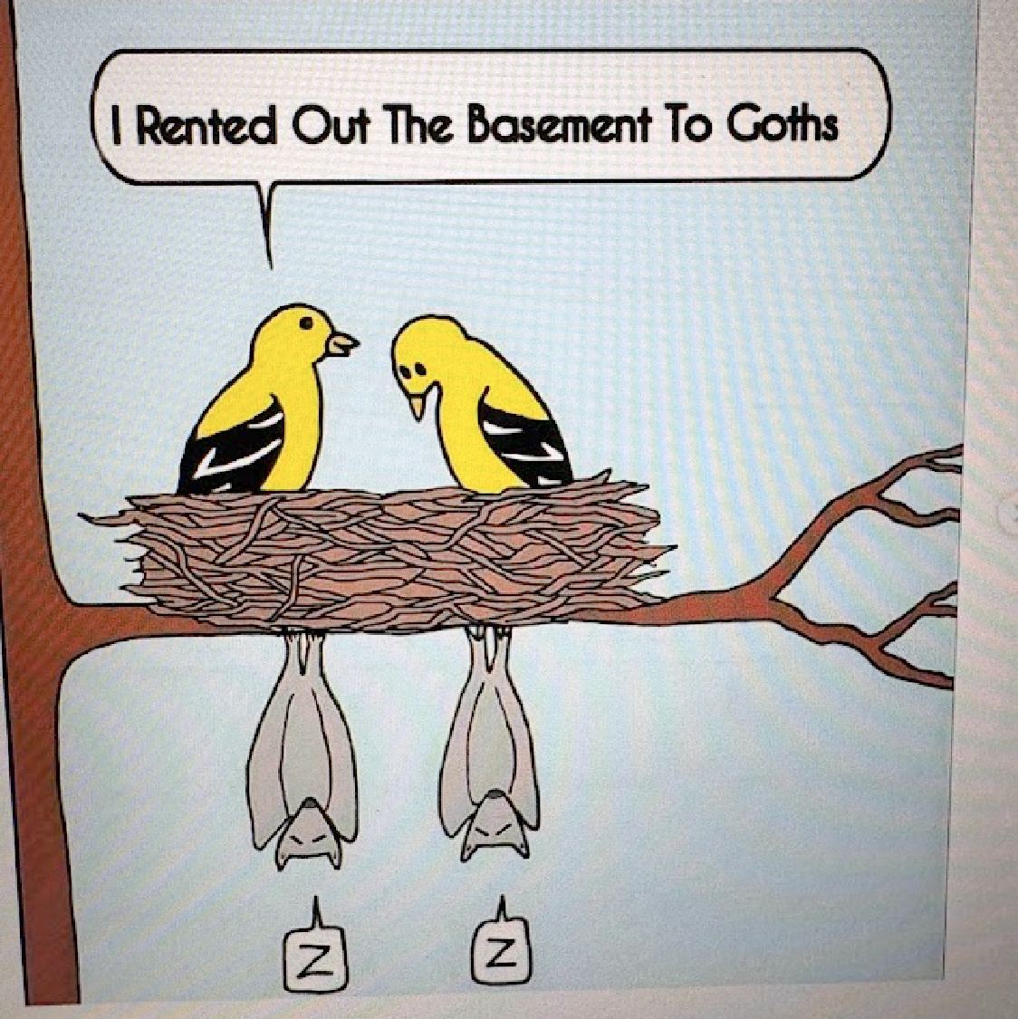 Funny meme with birds in nest and bats.