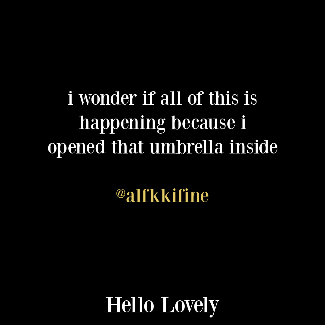 Funny tweet humor quote from alfkkifine about an umbrella on Hello Lovely Studio.