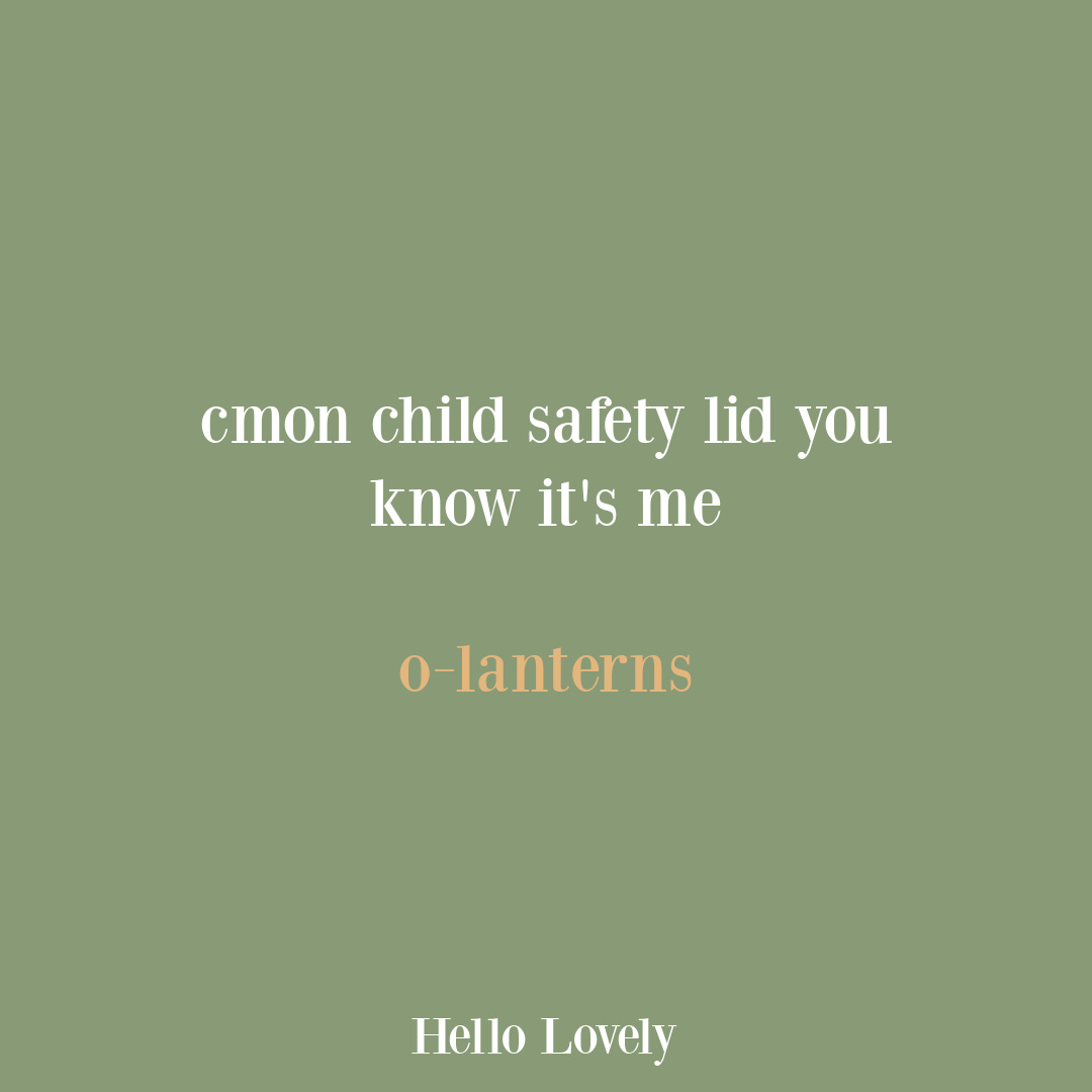 Hilarious tweet from tweetolanterns on Hello Lovely Studio.