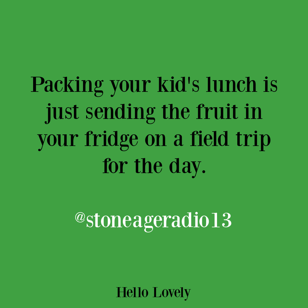 Hilarious parenting tweet about school lunches from stoneageradio13 on Hello Lovely Studio.