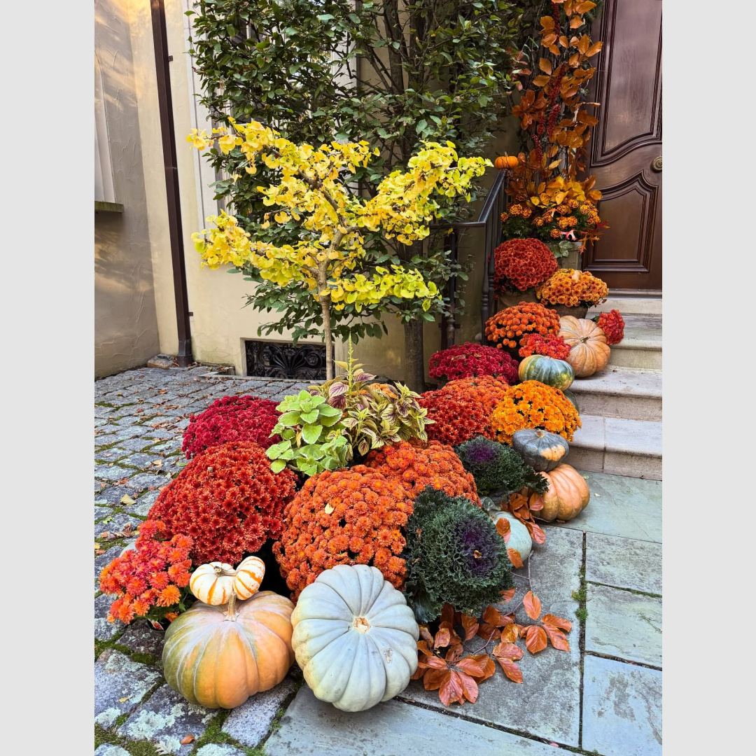 Beautiful colorful fall pumpkins line a breathtaking entrance to a grand home - Betty Bearden Pardee