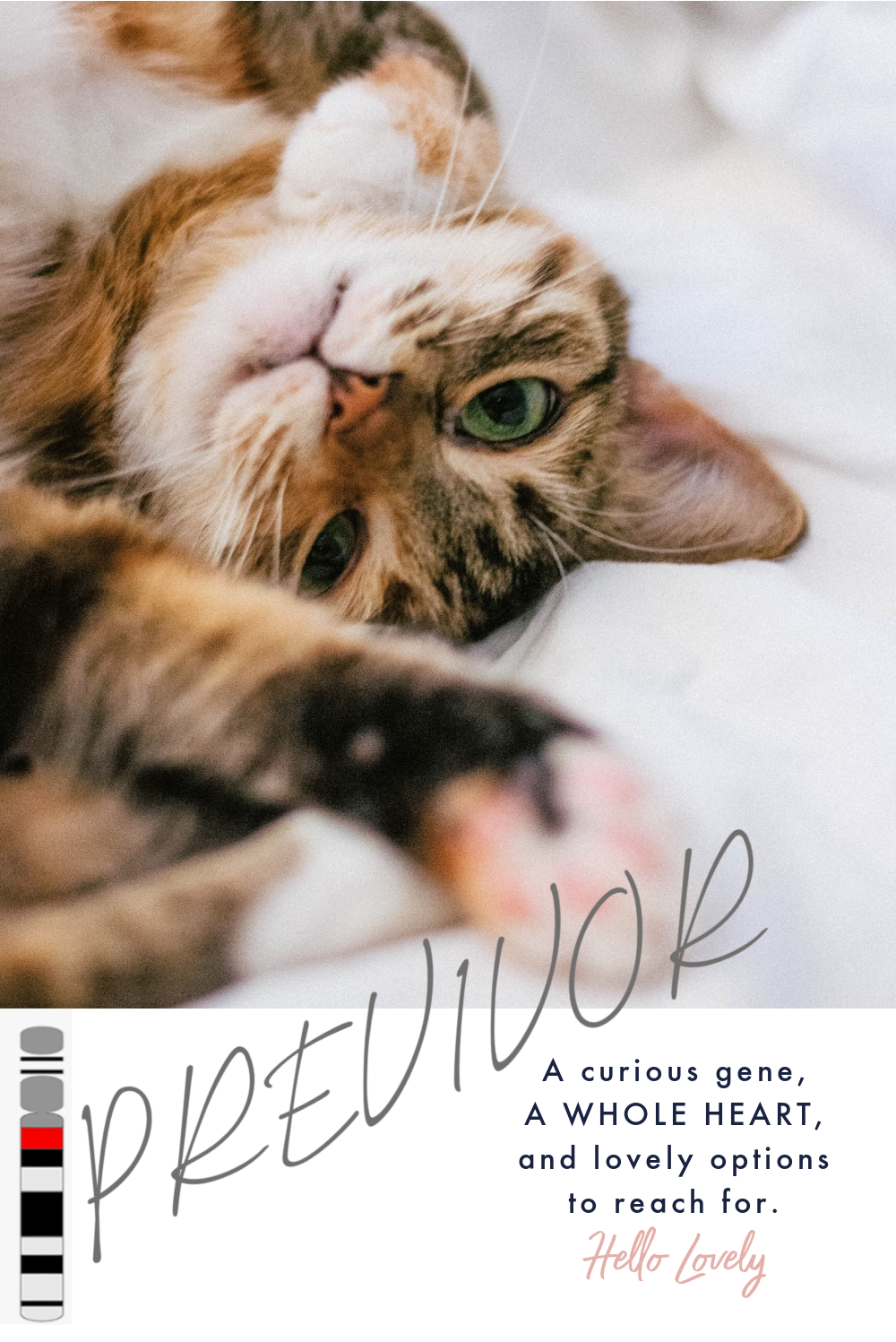 Previvor quote with cat and chromosome 13 by Hello Lovely Studio. #brca2 #brca1