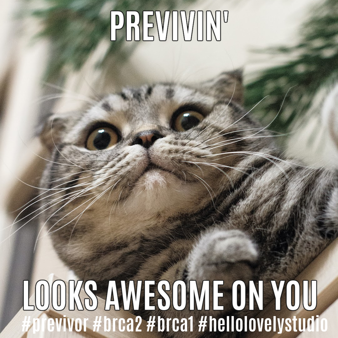 Previvor cat meme by Hello Lovely Studio. #previvor #brca1 #brca2 #breastcancer #geneticmutation