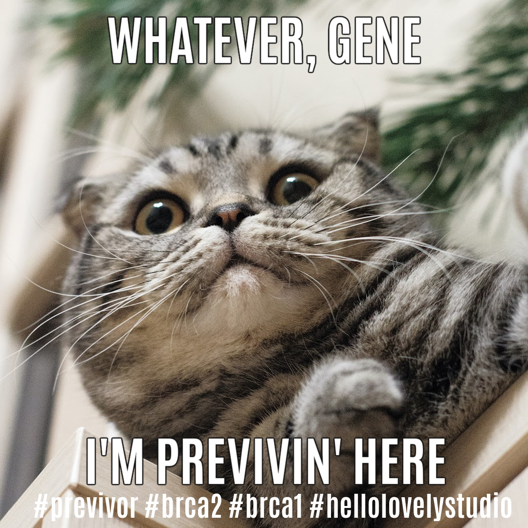 Funny previvor cat meme by Hello Lovely Studio. #previvor #brca1 #brca2 #breastcancer #geneticmutation