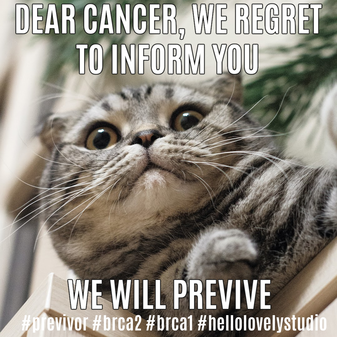 Previvor cat meme by Hello Lovely Studio. #previvor #brca1 #brca2 #breastcancer #geneticmutation