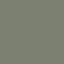 Sherwin-Williams DRIED THYME 6186 paint color swatch.